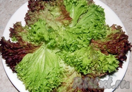 Обсушенный салат выложить на тарелку.
