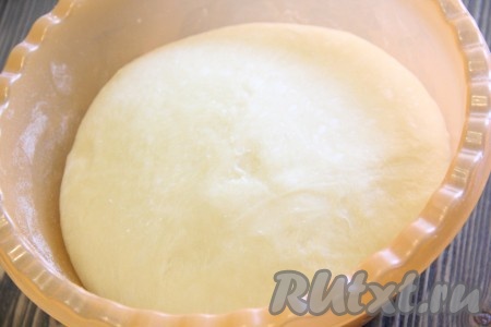 Вначале приготовим тесто, для этого в тёплое молоко нужно всыпать дрожжи, хорошо перемешать. В молочно-дрожжевую смесь добавить сахар, перемешать и оставить опару в тёплом месте минут на 15 (до образования "пышной шапки"). Затем соединить опару, растительное масло, яйцо и соль, перемешать. Постепенно подсыпая просеянную муку, замесить эластичное тесто и поставить его в тёплое место для подъёма часа на 1,5. Тесто увеличится в объёме раза в два. Хорошо обмять тесто и снова дать подняться.
