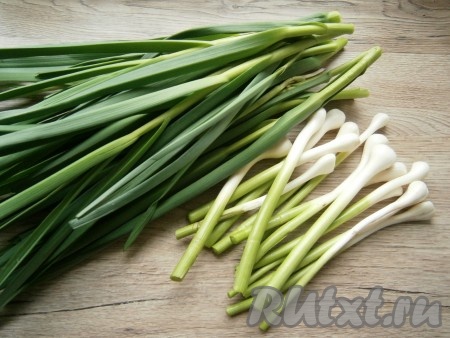 Для приготовления чесночной пасты нужны зеленые перья или стрелки чеснока вместе с белой частью.