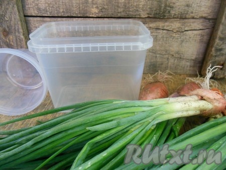 Подготовьте продукты, для того чтобы заморозить зеленый лук на зиму
