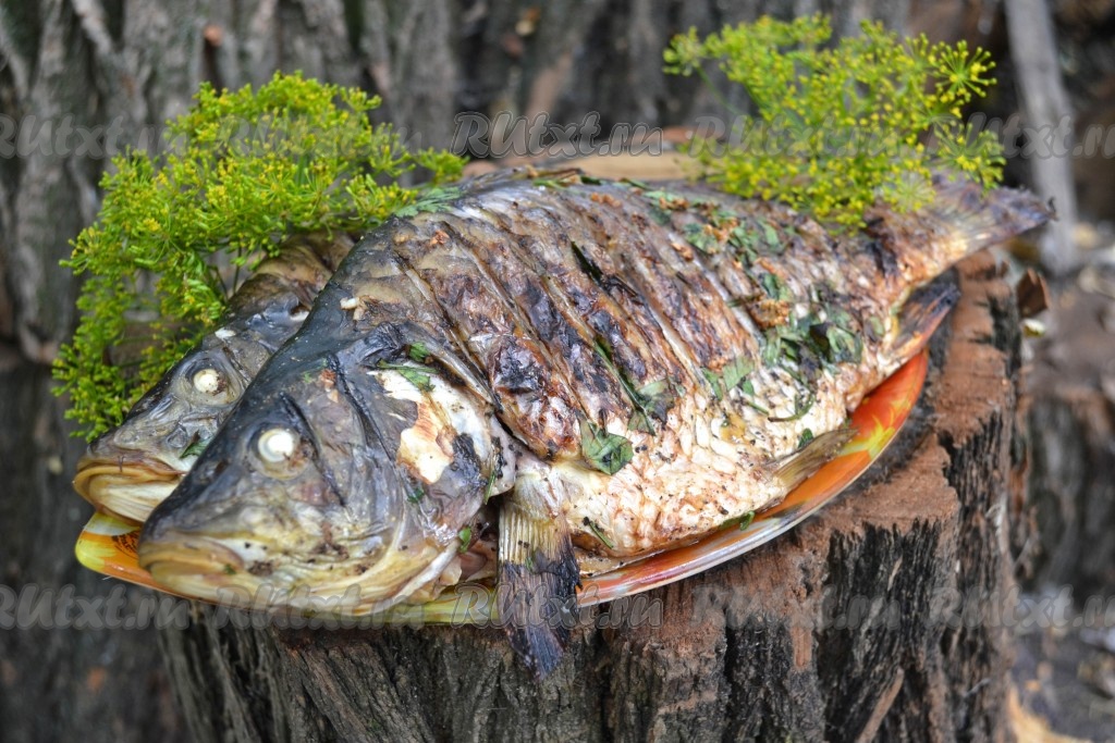 Рыба На Костре Рецепты С Фото