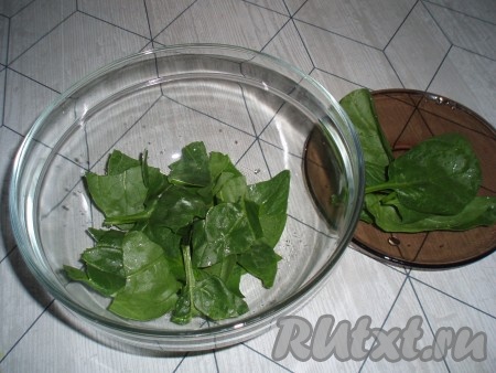 Листья шпината вымыть, обсушить, выложить в салатник. При этом более крупные листочки можно порвать на части.
