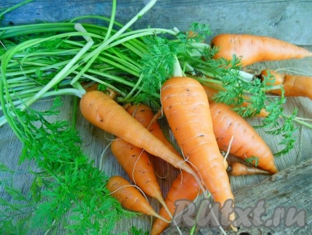 Самая вкусная и полезная - домашняя морковь.