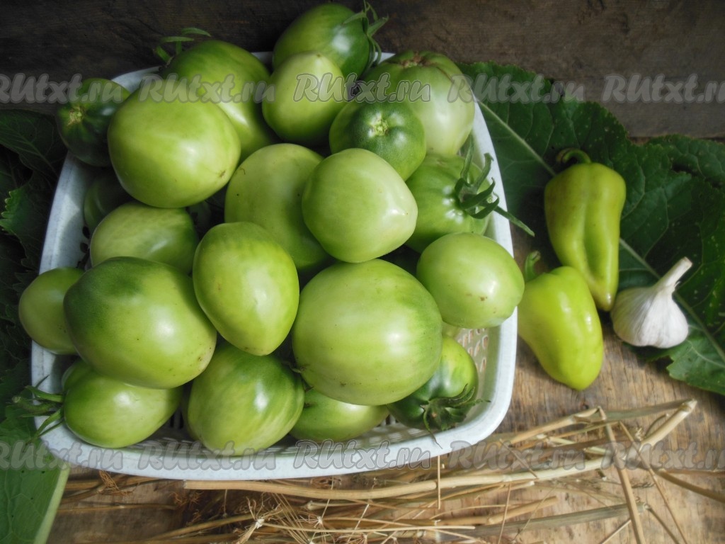 Зелёные помидоры солёные в холодной воде | Чудо-Повар