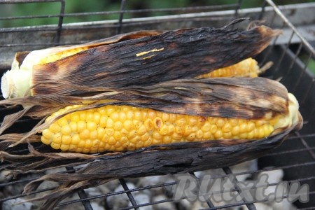 Жарить кукурузу на мангале 15-20 минут, часто переворачивая початки. За это время зёрна кукурузы станут мякими и сохранят свою сочность. Хотя, конечно, время приготовления во многом зависит от жара углей и степени зрелости кукурузы. Готовую наивкуснейшую кукурузу очистить от листочков и подать к столу. Перед подачей кукурузу можно посолить или смазать душистым маслом. Этот способ приготовления кукурузы, наверняка, понравится многим!
