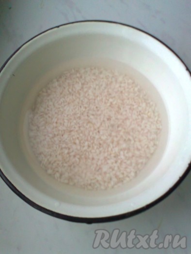 Круглозернистый рис промыть несколько раз под проточной водой (промывать до тех пор, пока вода не станет чистой и прозрачной), залить чистой водой и оставить, пока будет закипать вода с молоком.
