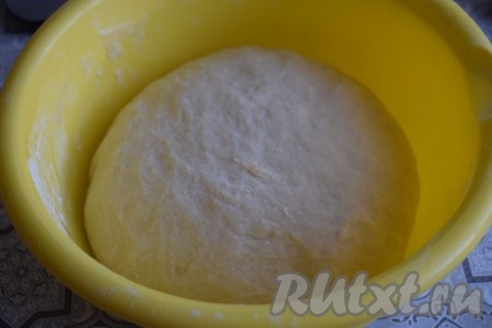 По консистенции тесто должно получиться упругим, хорошо держащим форму. Оставляем его на расстойку в тёплом месте на 1,5 часа, накрыв миску плёнкой.
