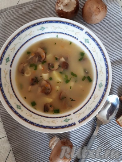 Суп из шампиньонов с макаронами