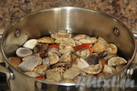 Поместить грибы в кастрюлю, полностью залить холодной водой. Поставить кастрюлю с грибами на огонь.
