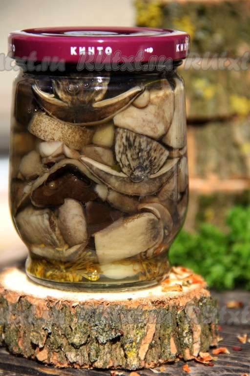 Лесные грибы, маринованные на зиму - 13 пошаговых фото в рецепте