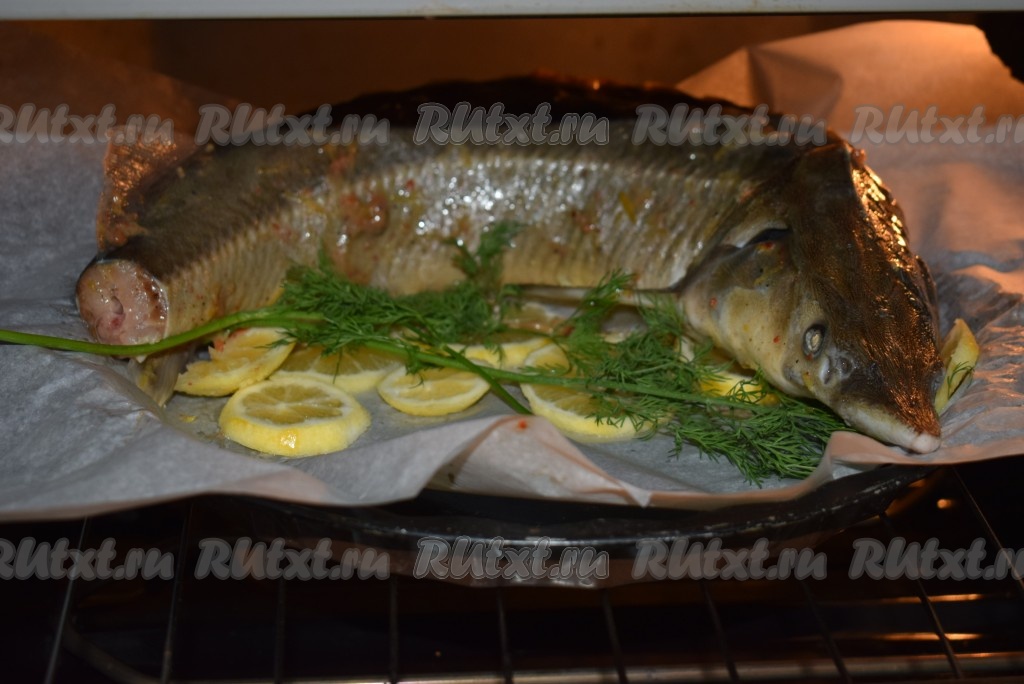 Красная рыба, запеченная в духовке целиком - рецепт с фото от Магги