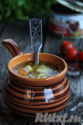 Вкусный, ароматный гречневый суп с тушёнкой в горячем виде подать к столу. Этот рецепт придёт на выручку, когда нет времени на варку мясного бульона!
