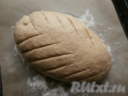 Оставить овсяный хлеб для расстойки в тёплом месте на 20-25 минут, после чего сверху сделать надрезы острым ножом (или лезвием).
