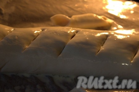 Острым ножом сделать 7-8 диагональных надрезов на поверхности пирога (глубина надрезов должна быть, примерно, 0,5 сантиметров). Поставить противень в заранее прогретую до 180 градусов духовку и выпекать пирог в течение 25-30 минут (до появления золотистой корочки).