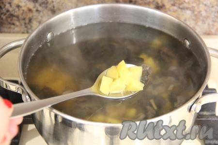 Пшено промыть и добавить в кастрюлю вслед за картошкой, дать воде закипеть, а затем варить грибовницу на небольшом огне минут 10.