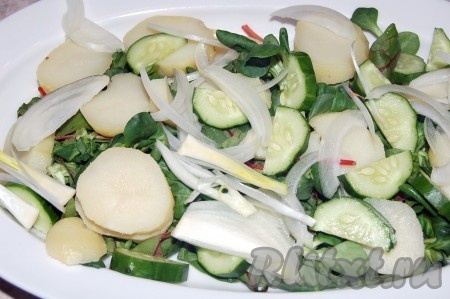 Порезать отварной картофель, репчатый лук, свежий огурец и выложить на листья салата.