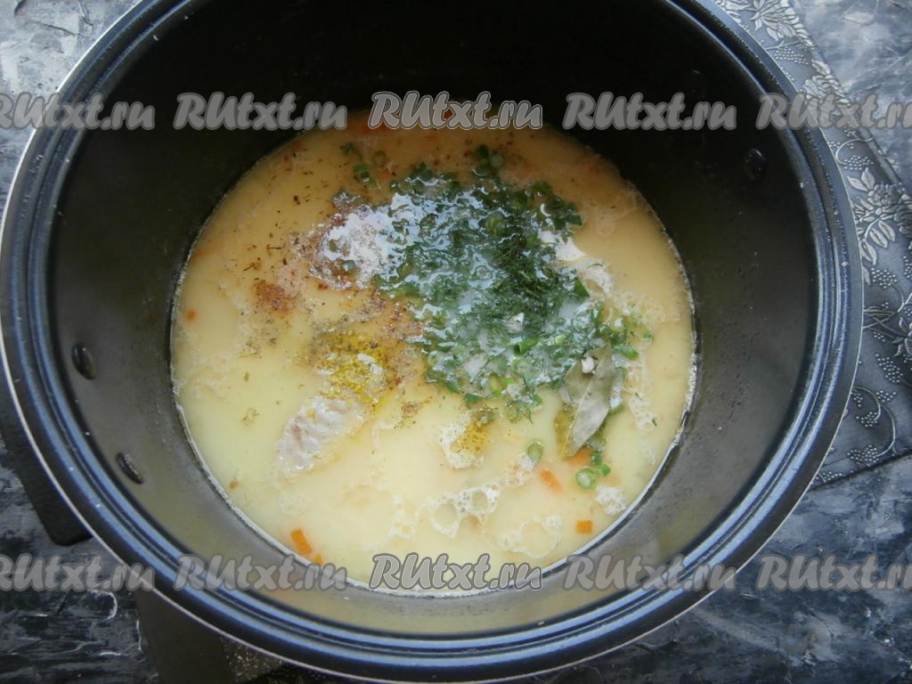Через 45 минут готовки сырного супа с курицей, добавить в мультиварку соль, специи, зелёный лук, укроп, лавровый лист и чеснок, перемешать.