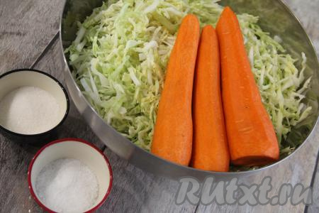 Капусту тонко нарезать, переложить в глубокую миску и хорошо помять руками. Морковь почистить.