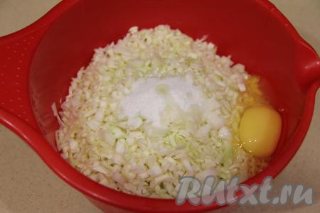 Капусту нарезать на маленькие кусочки и переложить к фаршу с рисом. Сюда же добавить яйцо, соль, можно ещё положить специи по вкусу.