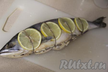 Выложить кружочки лимона поверх рыбки. Скрепить тушку с начинкой с помощью бечёвки (или нитки). 