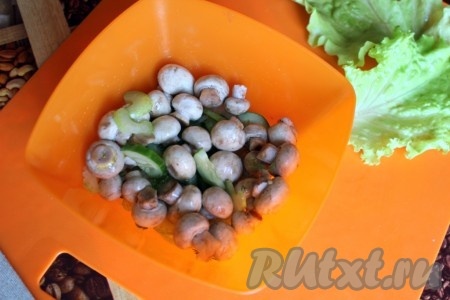 Соединить свежие огурцы, сельдерей, лук, укроп и остывшие шампиньоны, заправить салат оливковым маслом.
