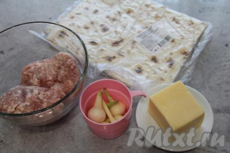 Подготовить продукты для приготовления лаваша с фаршем и сыром на мангале. Лук почистить. Фарш выложить в глубокую миску.