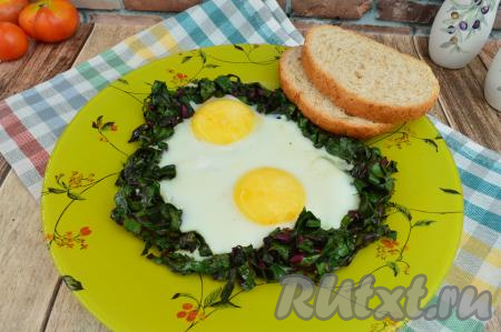 Аппетитную, вкусную, полезную яичницу, приготовленную со свекольной ботвой, переложить на плоскую тарелку и подать к столу. Это яркое блюдо можно подать и к завтраку, и в качестве сытного перекуса в будний день.