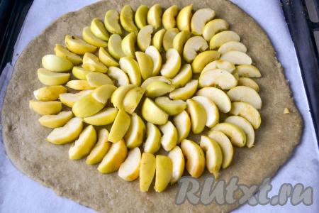 Яблоки вымойте, вырежьте семенную коробочку (от кожуры можно не очищать). Нарежьте яблоки на дольки толщиной 5-8 миллиметров и выложите по кругу на тесто, не  доходя до края 2-3 сантиметра.