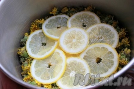 Цветки одуванчиков вымыть и добавить кусочки лимона.