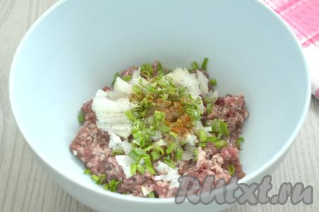 Репчатый лук очищаем, нарезаем на маленькие кусочки. Перья зелёного лука, если будете использовать, моем, обсушиваем, нарезаем мелко. Нарезанный лук добавляем в миску с фаршем, по вкусу солим, приправляем специями (я в качестве специй добавила паприку и чёрный молотый перец).