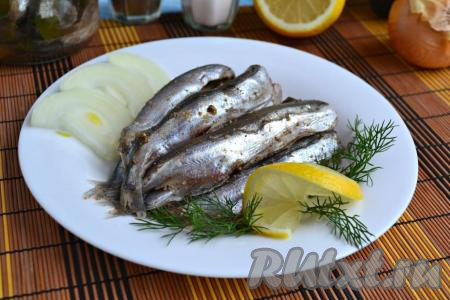 Мойва пряного посола в домашних условиях