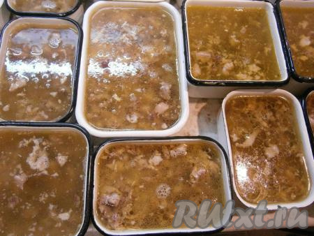 Залить мясо процеженным, остывшим до теплого состояния бульоном и дать мясу с бульоном полностью остыть.