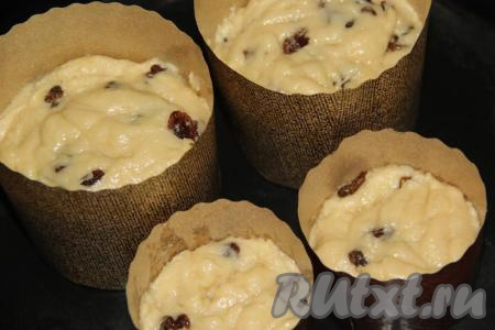 Разложить тесто по формам для куличей, заполняя их на 1/3 объёма. Оставить в тёплом месте на 5 часов. Формы желательно накрыть полотенцем.