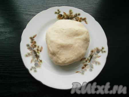 Тесто достать из чаши, оно должно быть мягким и нежным. Обмять тесто, сформировать колобок. Завернуть тесто в пищевую пленку и поместить в холодильник на 30 минут.