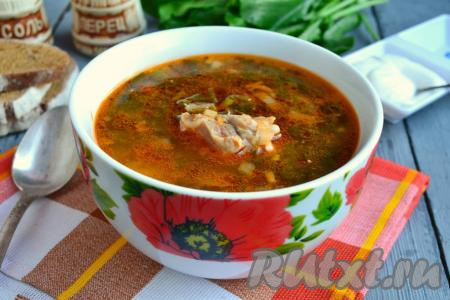 Зеленый борщ с курицей и щавелем