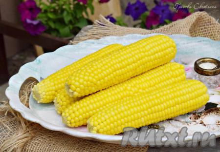 Как сварить молодую кукурузу в кастрюле