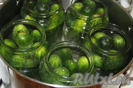 На дно кастрюли поместить кухонное полотенце. Банки поставить в кастрюлю на полотенце и налить тёплую воду так, чтобы банки оказались в воде больше чем на половину. Полотенце на дне кастрюли необходимо для того, чтобы банки не треснули. Банки прикрыть крышками. Поставить кастрюлю с банками на огонь, стерилизовать банки с огурцами в течение 8 минут с момента закипания воды на среднем огне.