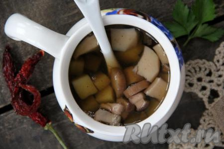 Суп из свежих грибов и картофеля получился вкусным, ароматным и очень красивым. Подать его можно со сметаной, кусочком сливочного масла или свежей зеленью. Рецепт приготовления наивкуснейшей грибовницы очень простой, а результат превзойдёт все ваши ожидания!