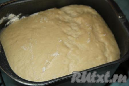 Я готовила тесто в хлебопечке, для этого нужно влить в ведёрко хлебопечки тёплое молоко, не горячее растопленное сливочное масло, куриное яйцо, добавить сахар и ванильный сахар, затем всыпать муку, дрожжи и щепотку соли. Выставить режим хлебопечки "Замес теста" (в моей хлебопечке тесто замешивается за 1 час 30 минут). Если будете готовить тесто вручную, тогда сухие дрожжи нужно растворить в тёплом молоке (температура молока не более 40 градусов), затем добавить растопленное тёплое сливочное масло и яйцо, всыпать сахар и ванильный сахар. В жидкую массу добавить муку и соль, замесить мягкое, приятное в работе тесто. Оставить для подхода тесто в миске в тёплом месте на 1,5 часа (чтобы тесто не заветрилось, накройте миску полотенцем). Тесто увеличится в два-три раза.