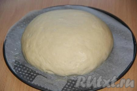 Я разделила тесто на две части (для выпечки двух буханок хлеба). Сформировать круглый хлеб (можно также сделать хлеб в форме батона). Тесто выложить на противень, застеленный пергаментом и смазанный растительным маслом, и оставить для расстойки на 30 минут под полотенцем.