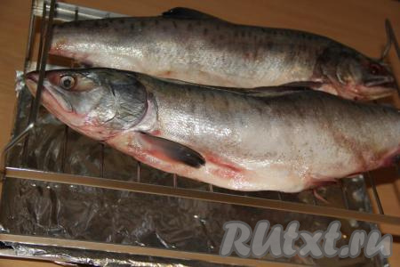 Подготовить коптильню: щепу предварительно замочить в воде. Я заливаю щепу водой прямо в пакете, а минут через 30 прокалываю пакет в нескольких местах, чтобы стекла вода. Затем щепу равномерно распределить по дну коптильни. Лист фольги выложить поверх щепы, сделать в фольге 8-10 отверстий (можно сделать отверстия, проткнув фольгу пальцем). Горбушу выложить на решётку. Решётку с рыбой поместить в коптильню. Накрыть коптильню крышкой и поставить на мангал с раскалёнными углями. 
