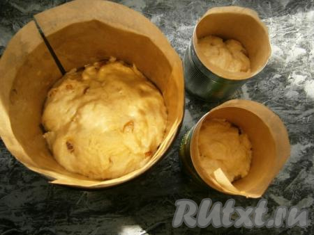 Готовое тесто обмять той же ложкой и разложить ложкой по формочкам, застеленным полностью (и дно, и бока)  пергаментом, который немного смазать растительным маслом (бумажные формочки можно не застилать пергаментом). Боковой пергамент на всякий случай я выложила выше, чем сами формочки. Раскладывать тесто нужно на 1/3 объема. Дать тесту подойти, оставив на расстойку на 25-35 минут.