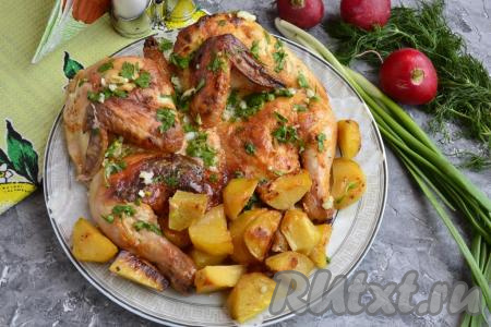 Цыпленок табака с картошкой в духовке