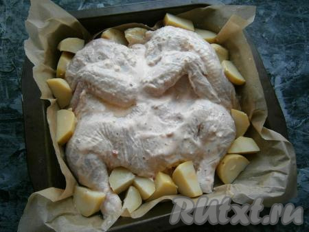Картофель очистить от кожуры, нарезать на части и выложить его вокруг цыпленка. Немного смазать картофель тем же соусом. Курицу и картошку немного полить растительным маслом.