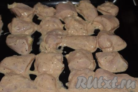А можно просто выложить кусочки куриного шашлыка на противень. При желании, на противень можно выложить и лук, с которым мариновалось мясо. Запеченный лук получится очень вкусным.