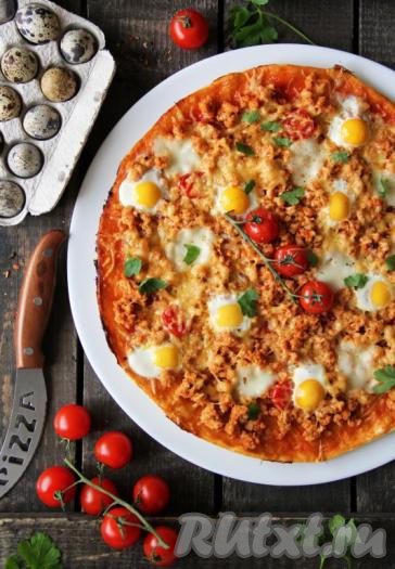 Выпекать домашнюю пиццу с сыром и фаршем в разогретой духовке минут 10 при температуре 220 градусов. Аналогично испечь пиццу из оставшихся частей теста. Выпечка получается красивой, аппетитной и очень вкусной, попробуйте!