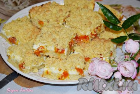 Пирог с творогом и курагой 