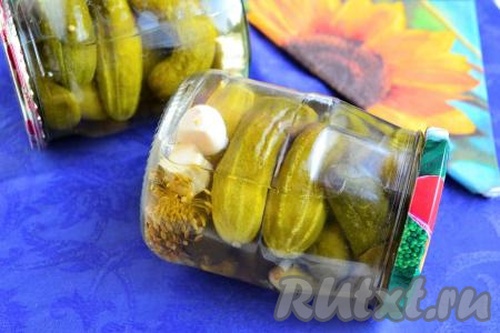 Хрустящие корнишоны, маринованные на зиму в банках