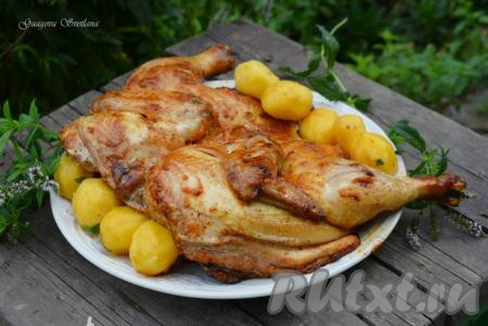Курица с кетчупом и майонезом в духовке