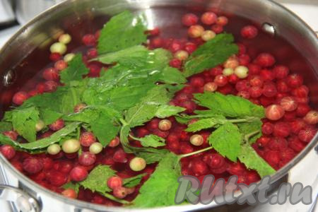 Затем в сироп с мятой всыпать ягоды красной смородины.